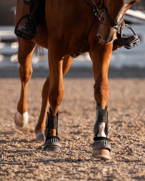 Show jumping competition