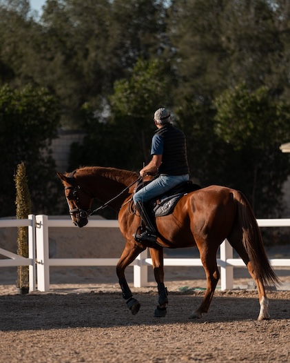 Jumping training